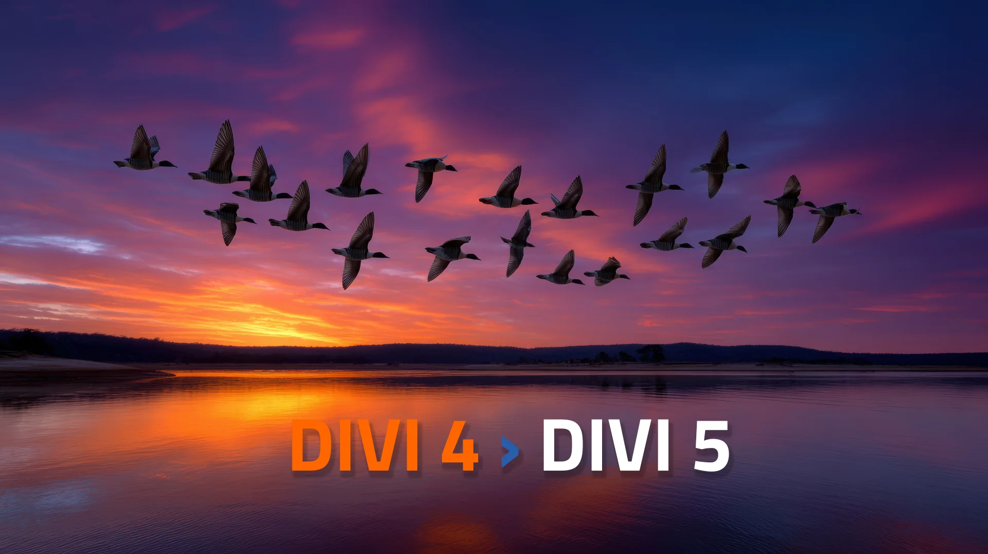 Overstappen naar Divi 5